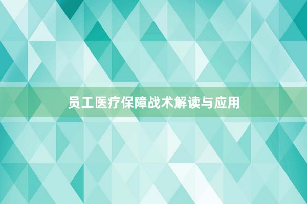 员工医疗保障战术解读与应用