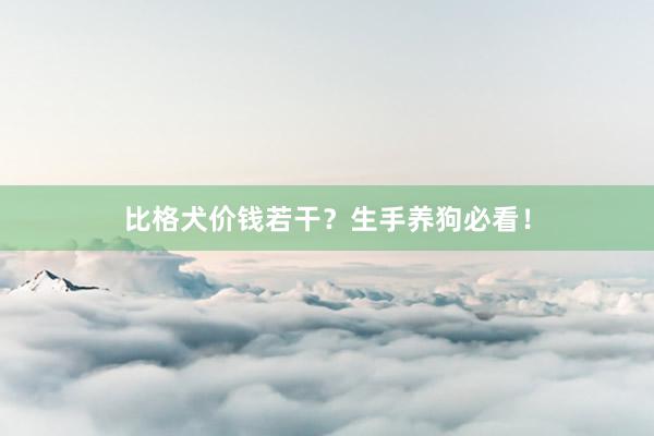 比格犬价钱若干？生手养狗必看！
