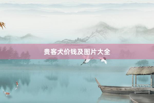 贵客犬价钱及图片大全
