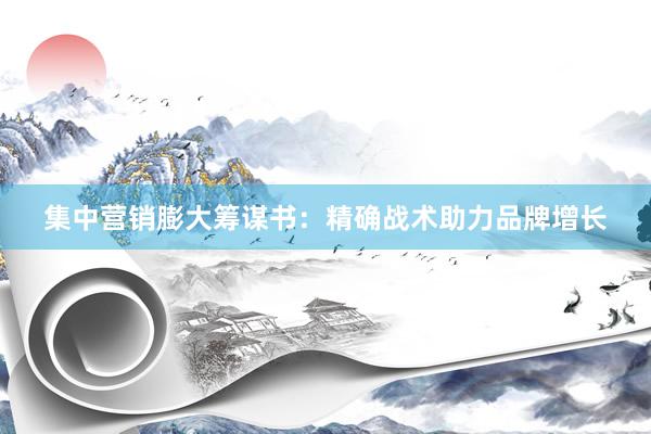 集中营销膨大筹谋书：精确战术助力品牌增长